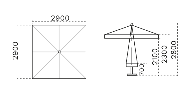 C3030 PAS