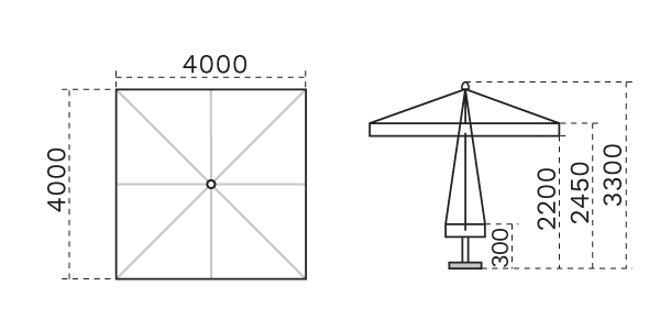 C4040 PAS