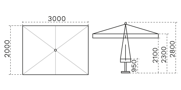 C2030 PAS