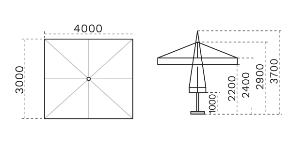 DARK C3040 CAT